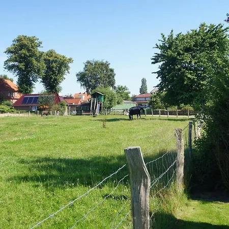 Vakantiehuis Ferienbungalow 1 *